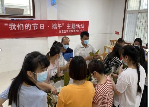 武漢市江夏區政府